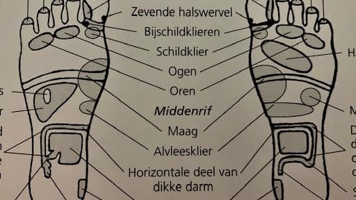 voetreflex zones